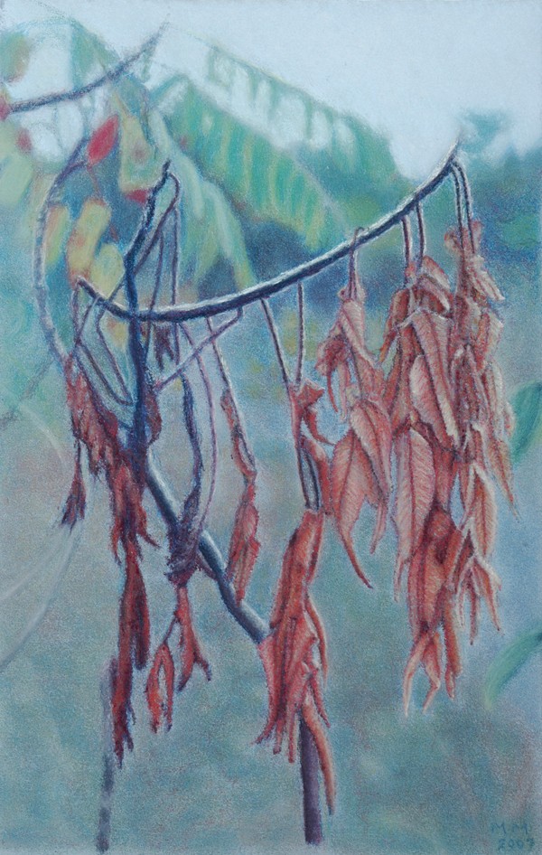sumac.jpg